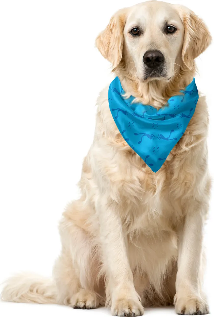 ABAKUHAUS Bandana per animali domestici Tiefsee, silhouette di subacquei e pesci, 40x40 cm, Sky Blue Sea Blue