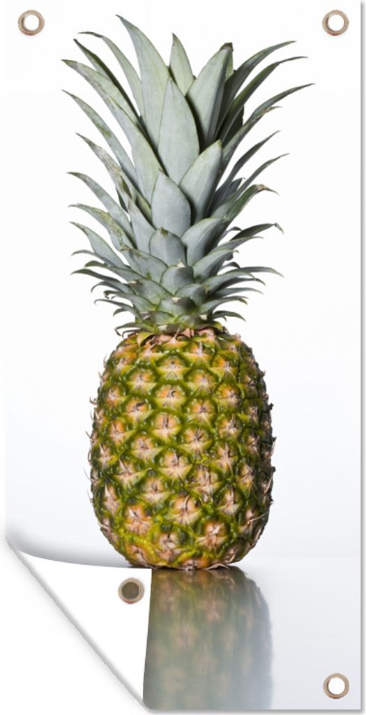 MuchoWow 80x160 cm Outdoor-Poster Gartendeko Sichtschutz Garten Poster für den Garten Ananas - Reflexion - Weiß