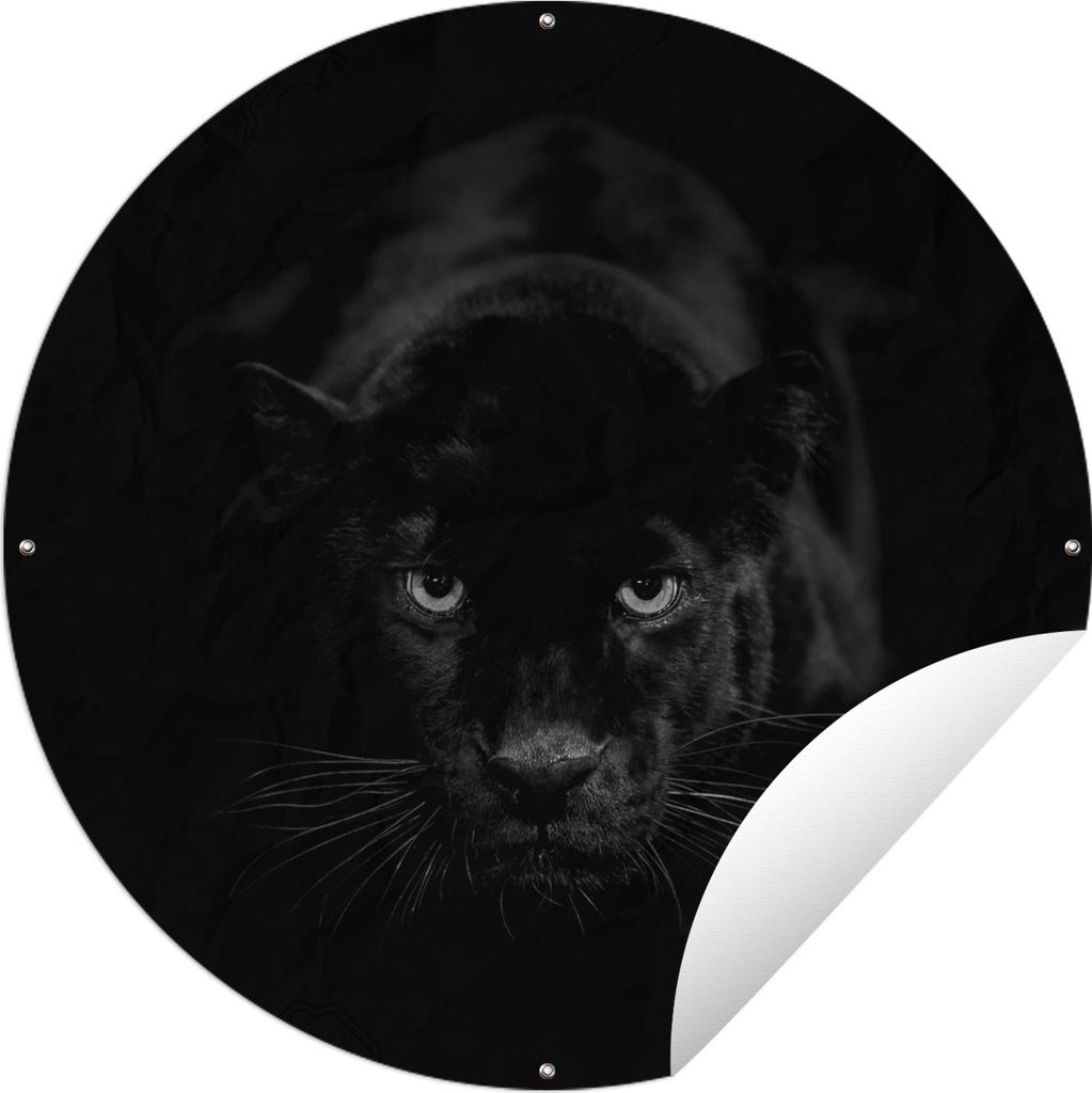 MuchoWow Gartenposter Outdoor-Poster Rund Panther - Schwarz - Weiß Ø 90 cm Gartendeko Rundes Poster draußen