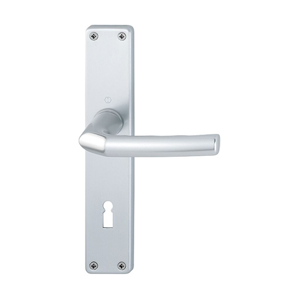 Hoppe Birmingham Langschildgarnitur F1 Aluminium Natur 1117/202SP, BB Bundbart