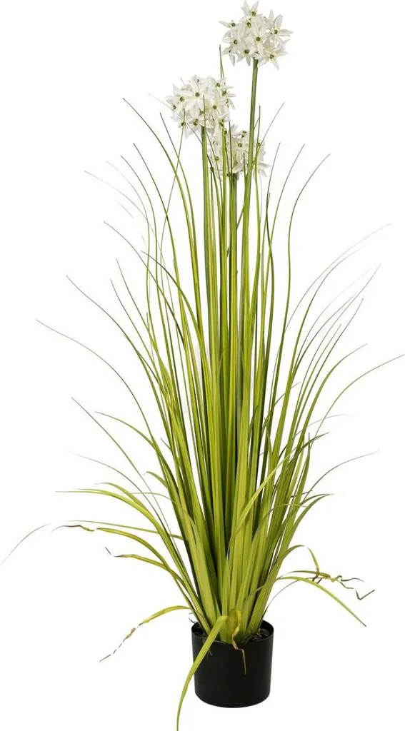 EUROPALMS Erba Allium, pianta artificiale, bianca, 120 cm (82600169)