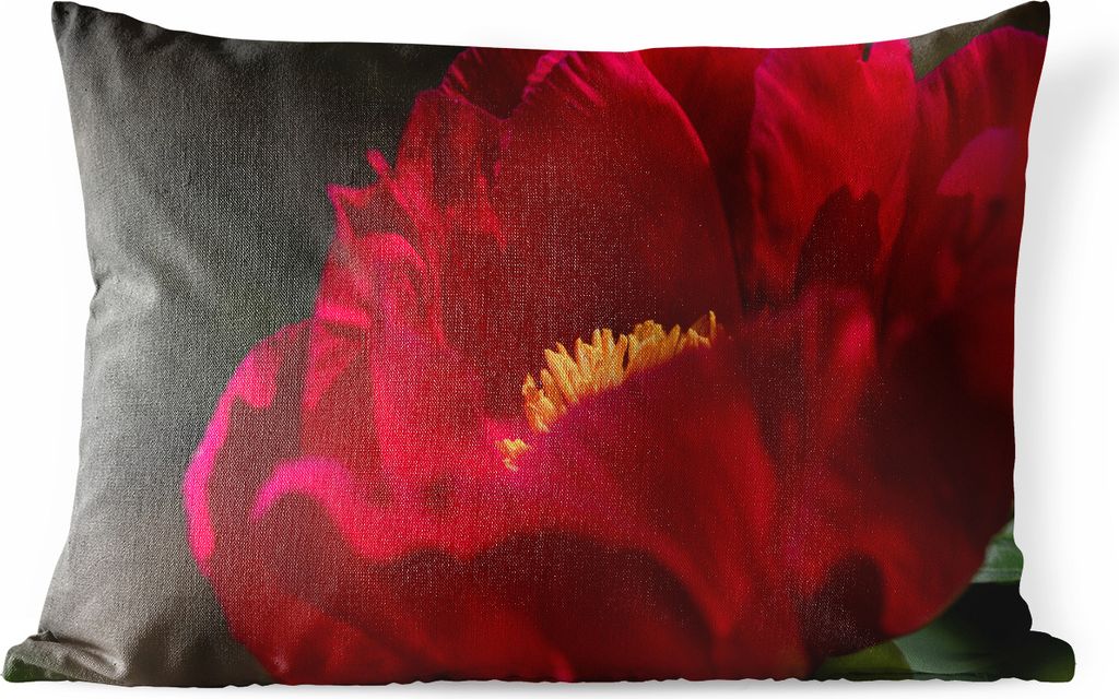 MuchoWow Outdoor Kissen - Ein Bild einer roten Pfingstrose - 60x40 cm - Wetterfest - Lounge Kissen - Zierkissen - Kissen für Innenräume