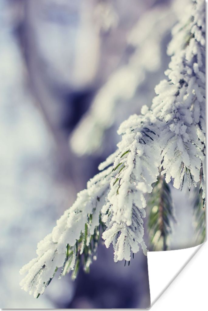 MuchoWow Poster Winter - Tannenbaum - Schnee - Ländlich 120x180 cm - Kunstposter