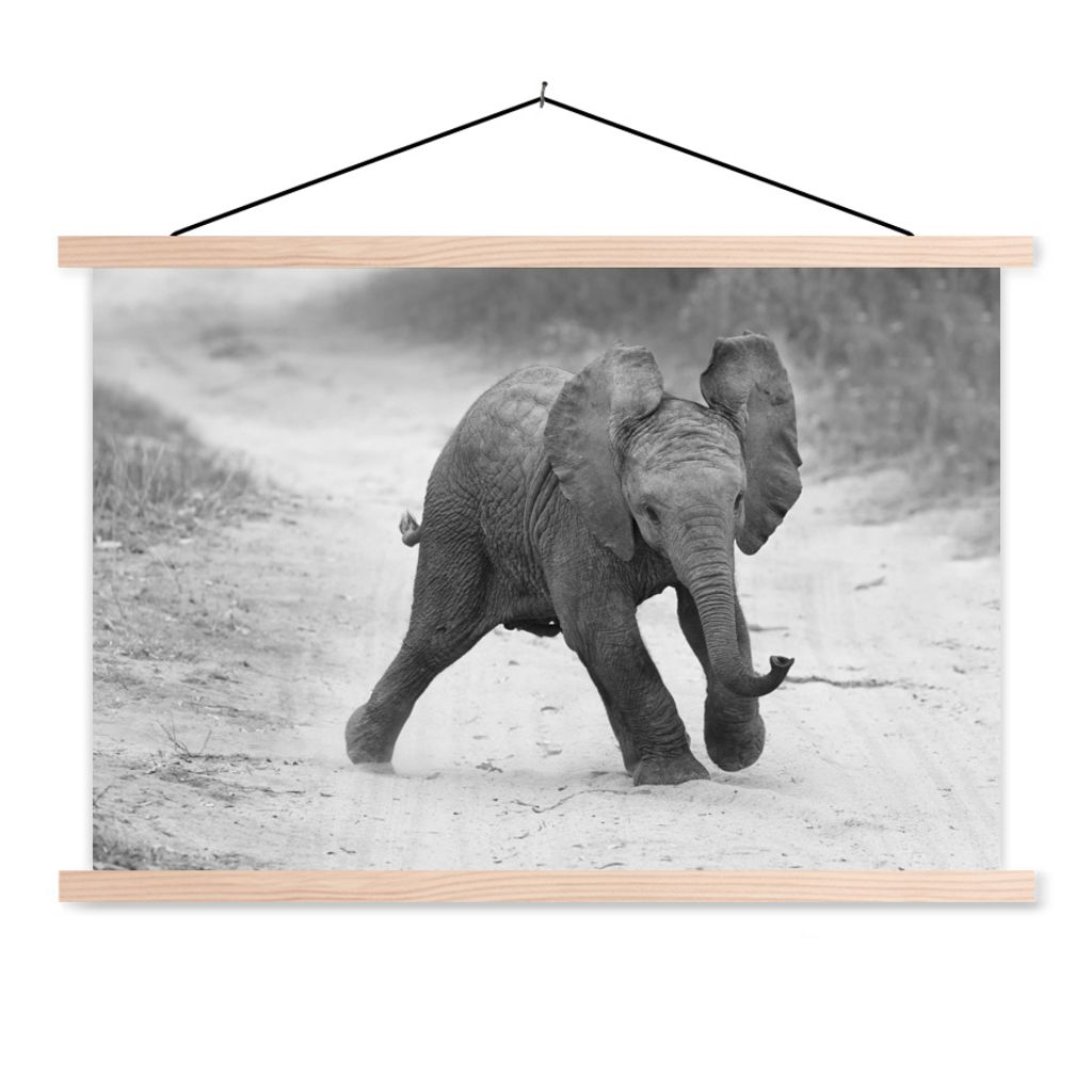 MuchoWow Textilposter Elefant - Baby - Tiere - Kröte - Schwarz und weiß 60x40 cm mit holzfarbenen Rahmen - Bilder