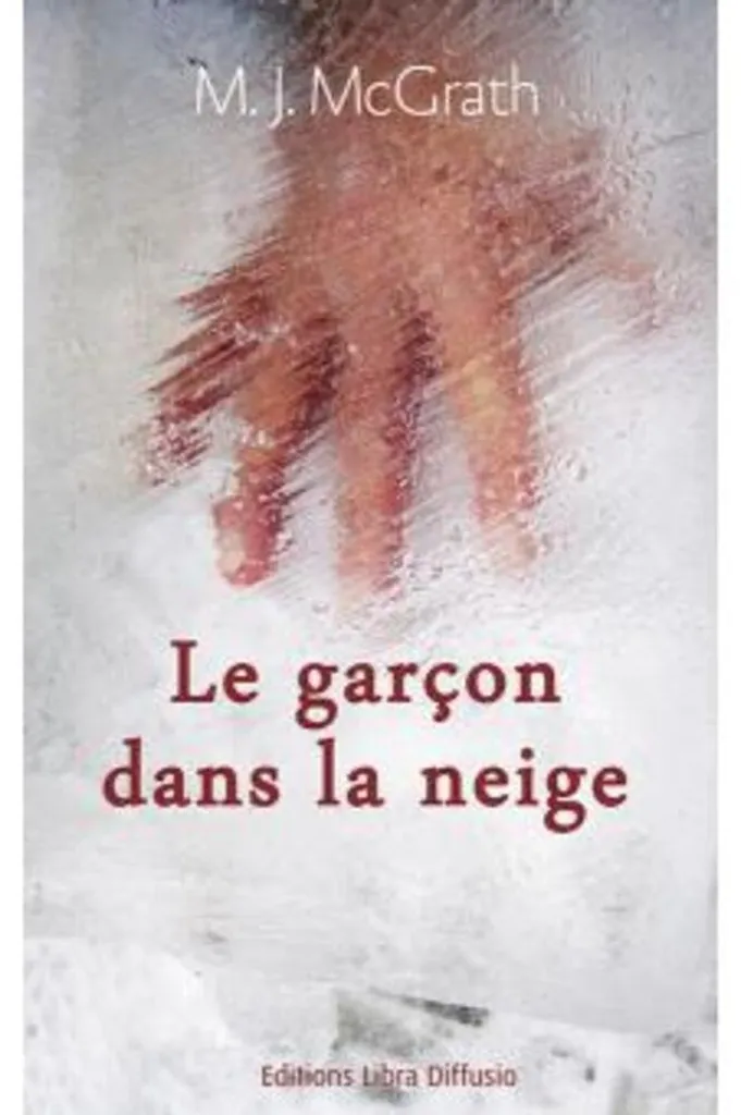Le Garçon dans la Neige - Un Thriller Captivant Sans Temps Morts