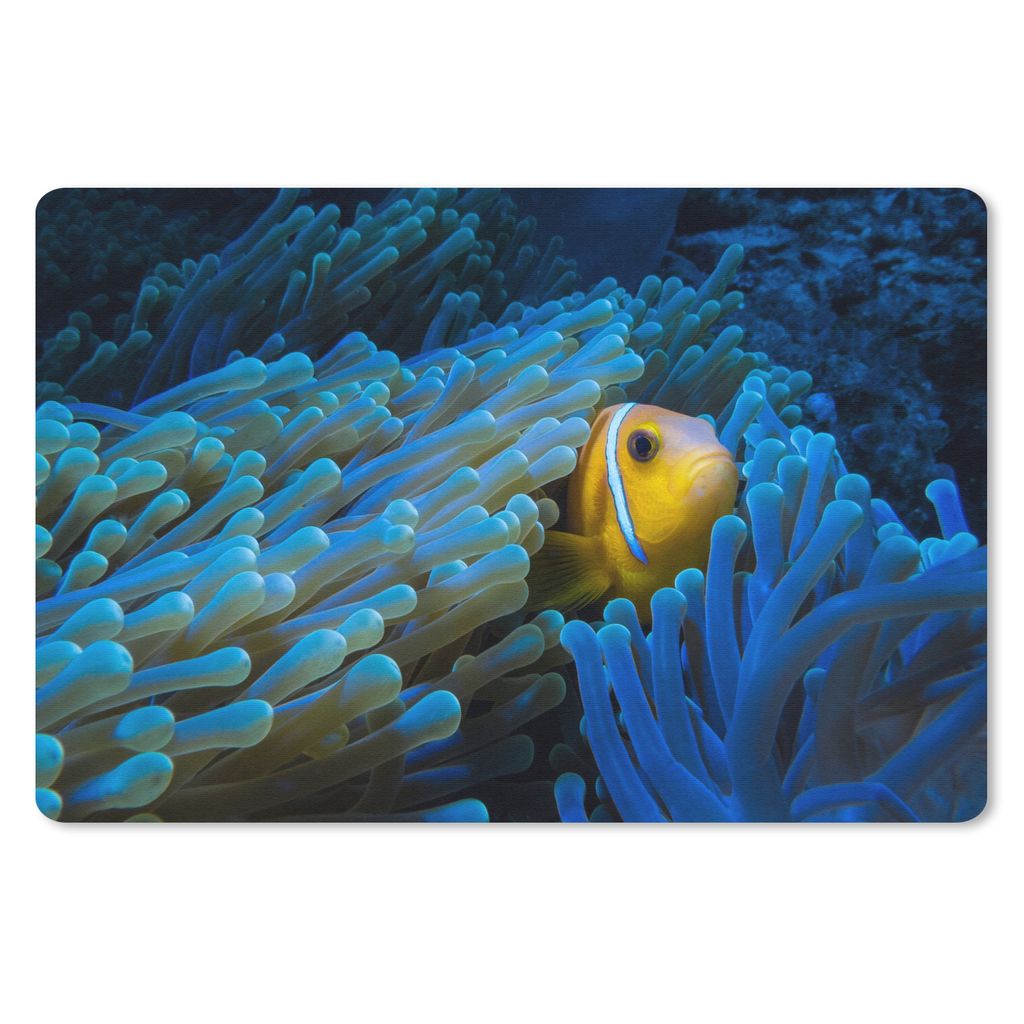 MuchoWow Schreibtischunterlage Fisch - Anemone - Nemo 60x40 cm - XXL Mauspad - Großes Mauspad