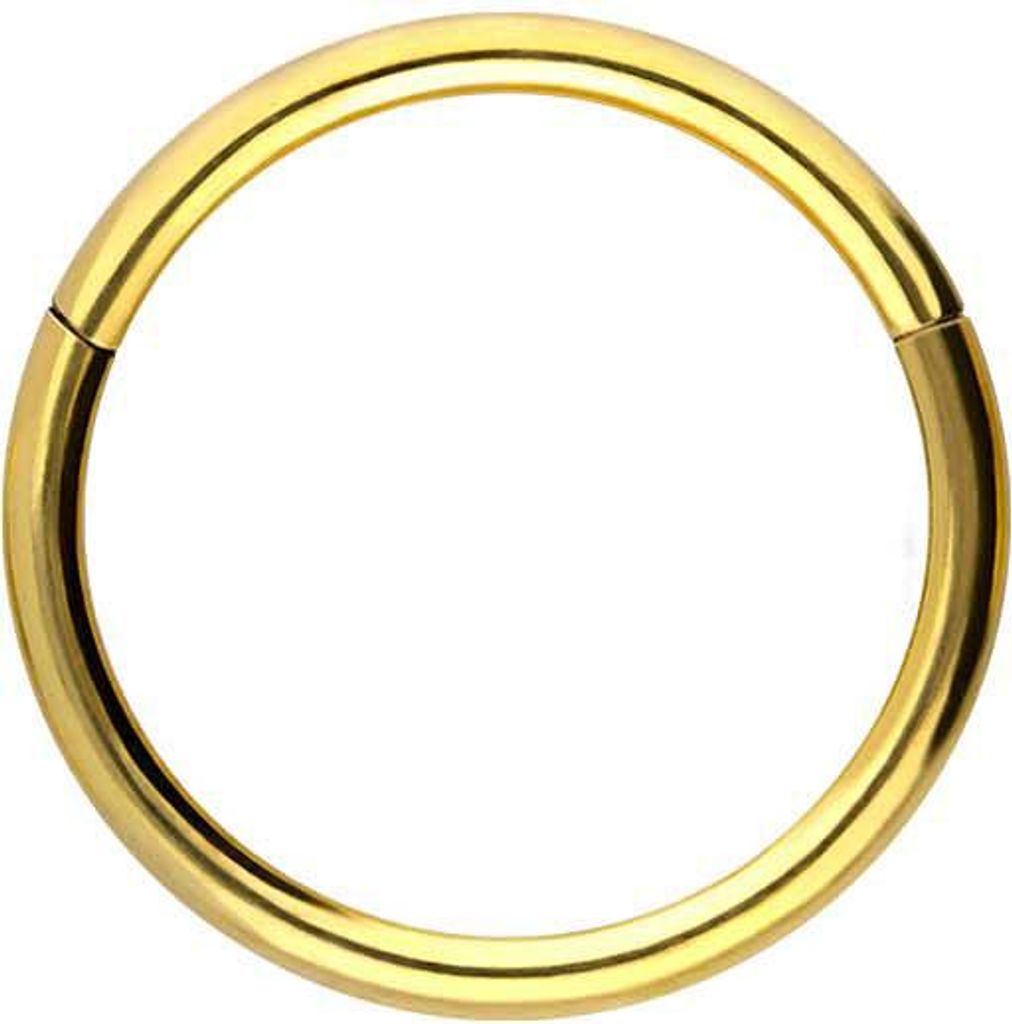 Ohrpiercing, Nasenpiercing, Septum Piercing Titan Segmentring Clicker Gold Innendurchmesser: 8mm + Stabstärke: 0,8mm