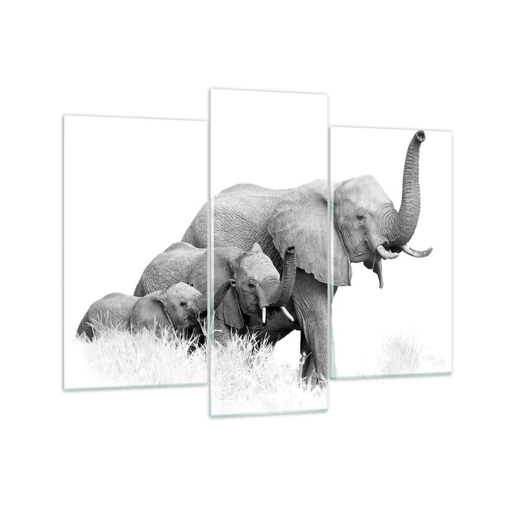 Bilder auf glas - 3 Teile - Elefanten Familie Schwarz und Weiß - 130x100cm - Glasbilder - Wandbilder - Bilder - Wanddekoration aus Glas - Glas Bil...