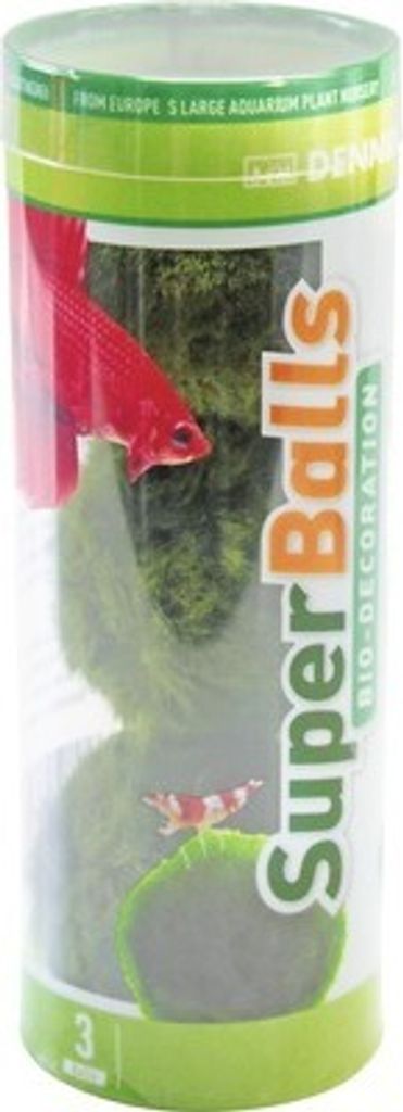 Grünalgenart SuperBalls kugelförmig 3 Stück - Aegagropila linnaei