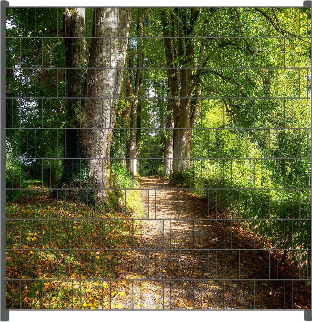 Wallario Zaunsichtschutz mit Motiv Weg im Sonnenlicht für Ein- und Doppelstabmatten Zäune in der Größe 200 x 200 cm