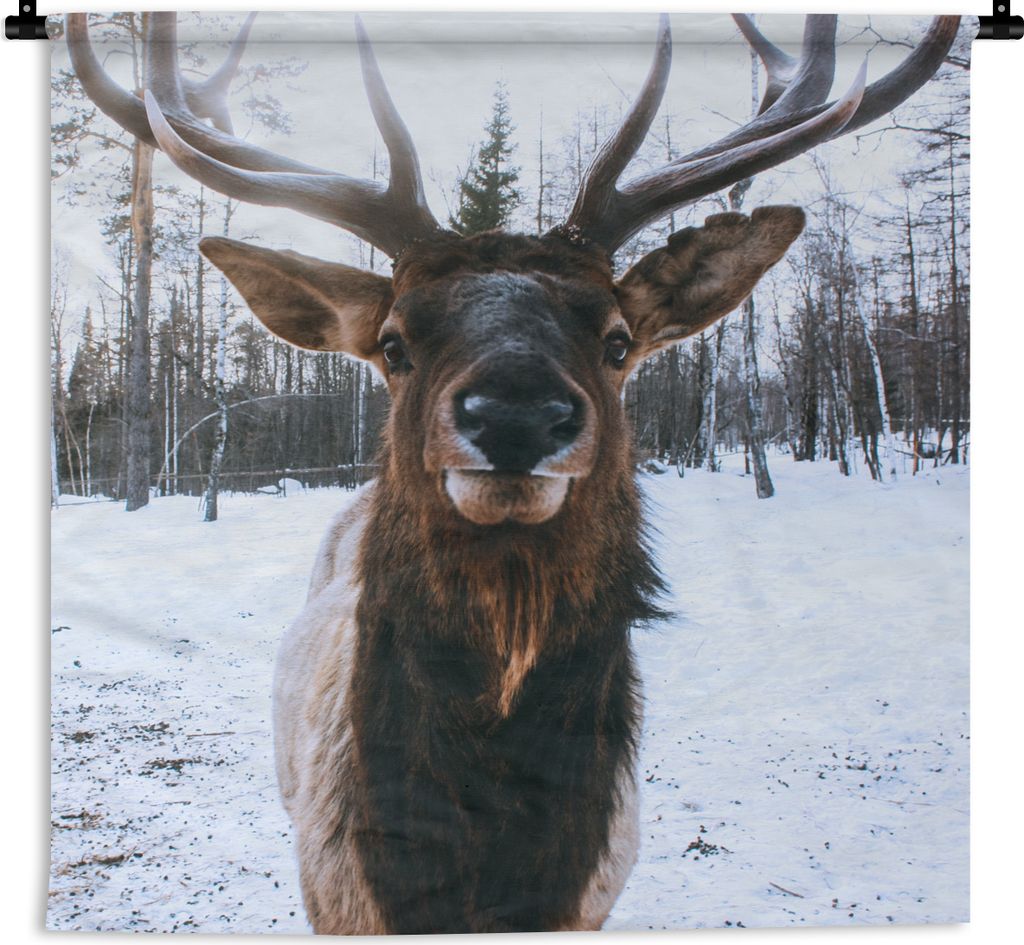 MuchoWow Wandteppich Wandbehang Rotwild - Schnee - Geweih 150x150 cm Tapisserie Dekoration Wandtuch - Wohnaccessoires - Modernes