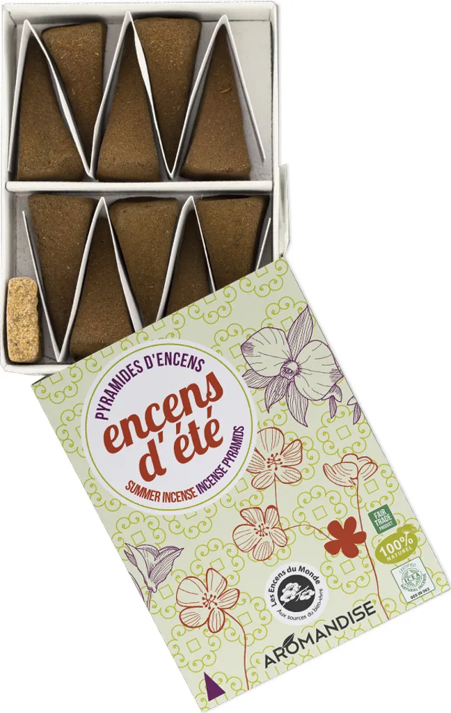 Encens répulsif moustiques en pyramide 60 pièces longue durée 30min