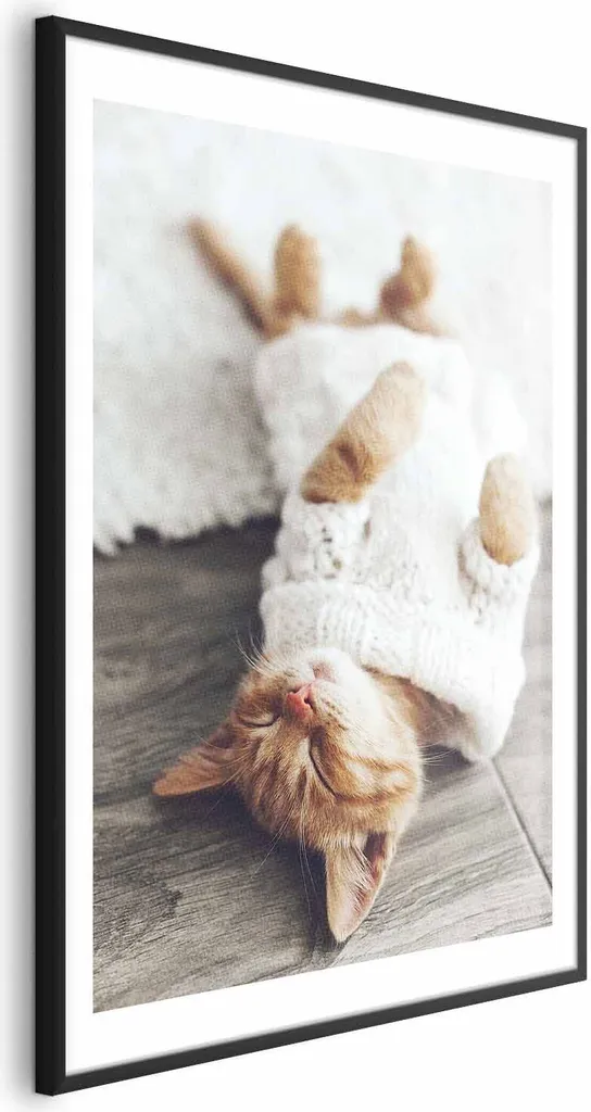 Poster Gatto Pigro 60x90 con Cornice Nera e Margine - Arredo Casa