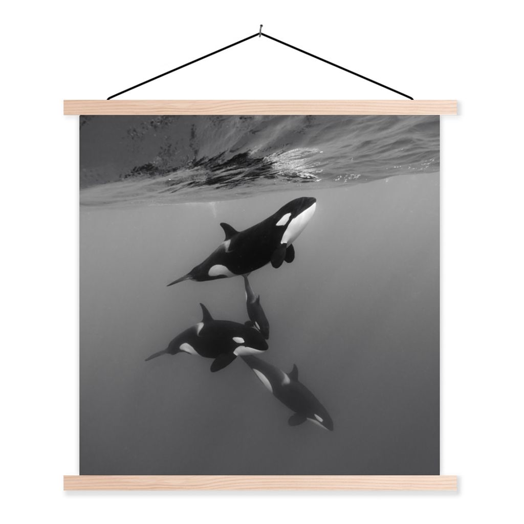 MuchoWow Textilposter Orca - Wasser - Schwarz - Weiß 120x120 cm mit holzfarbenen Rahmen - Textil-Poster