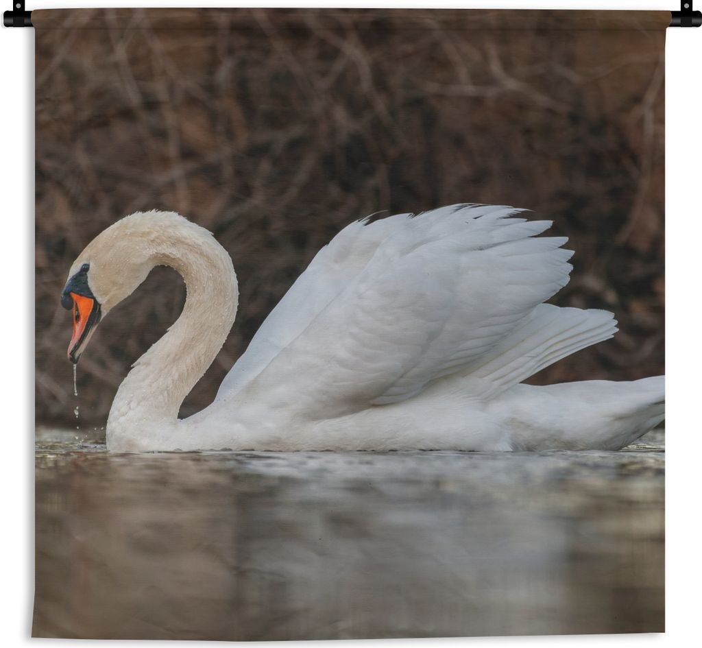 MuchoWow Wandteppich Wandbehang Schwan - Wasser - Tiere - Vogel 150x150 cm Tapisserie Dekoration Wandtuch - Wohnaccessoires - Modernes