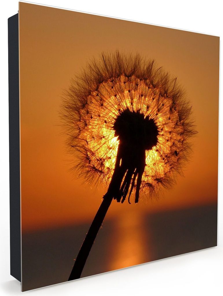 Nachbildung-Schlüsselkasten, Magnetpinnwand und Memoboard mit Glasfront Motiv Löwenzahn im Sonnenlicht