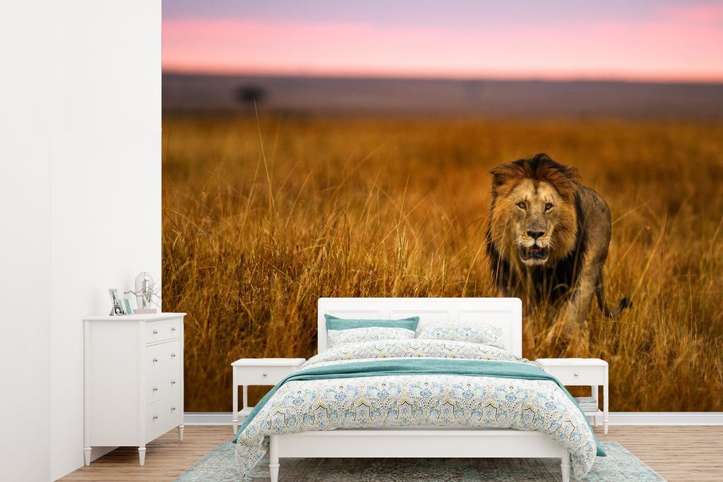 MuchoWow Fototapete für Wohnzimmer oder Schlafzimmer Wandtapete Vinyl Motivtapete Löwe - Savanne - Gras - 360x260 cm - Wohnzimmer tapete