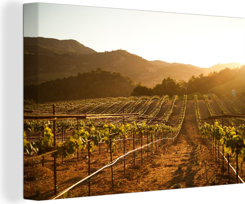 OneMillionCanvasses - Leinwandbilder - 140x90 cm, Weinberg bei Sonnenuntergang, Wandbilder Kunstdruck Wanddekoration - Foto auf Leinwand - Gemäl...
