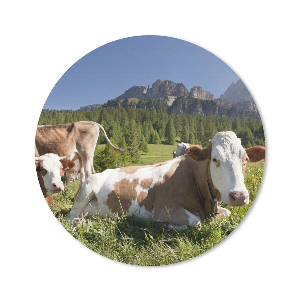 MuchoWow Mauspad Mousepad Kühe - Gras - Schweiz 40x40 cm - Mousepads - Maus Mat - Pad - Mausunterlage - Schreibtisch Accessoires