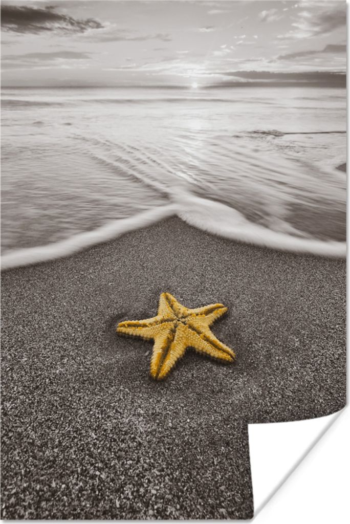 MuchoWow Poster Seesterne - Strand - Golf 20x30 cm - Papierdruck