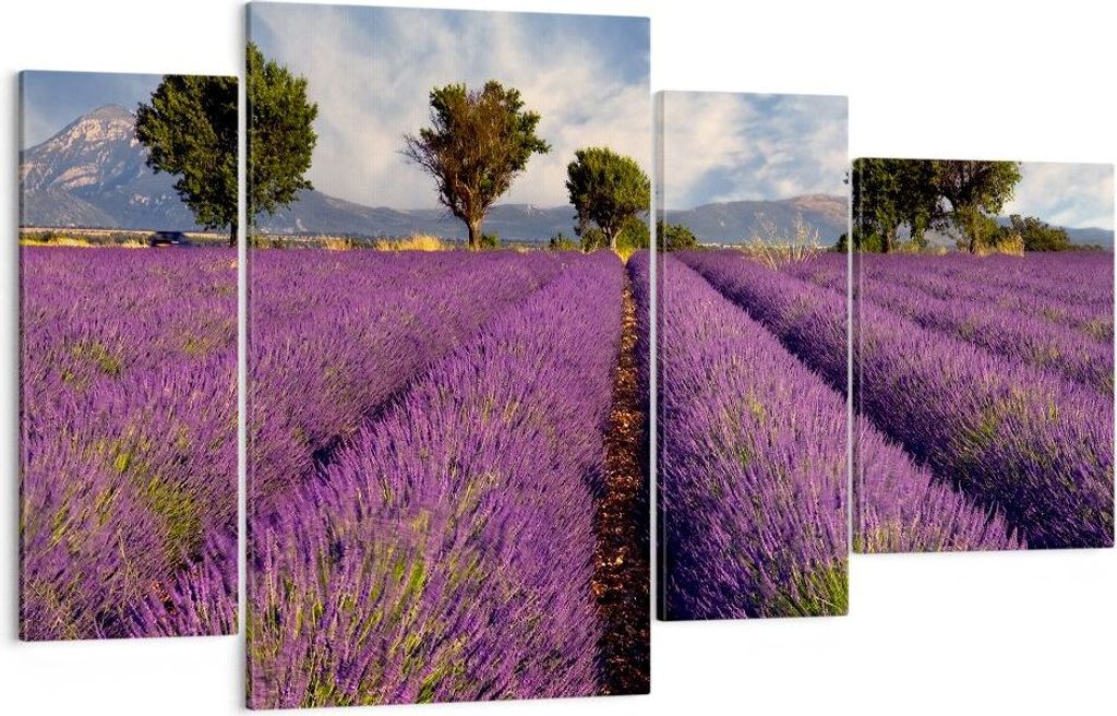 Bild auf Leinwand - Leinwandbild - Landschaft Wiese Pflanzen - 120x70cm - Wand Bild - Wanddeko - Leinwanddruck - Bilder - Kunstdruck - Wanddekorati...