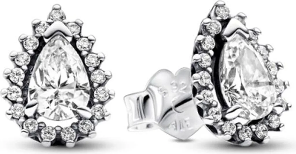 Clous d'oreilles Pandora 292834C01 circulaires en argent massif brillant