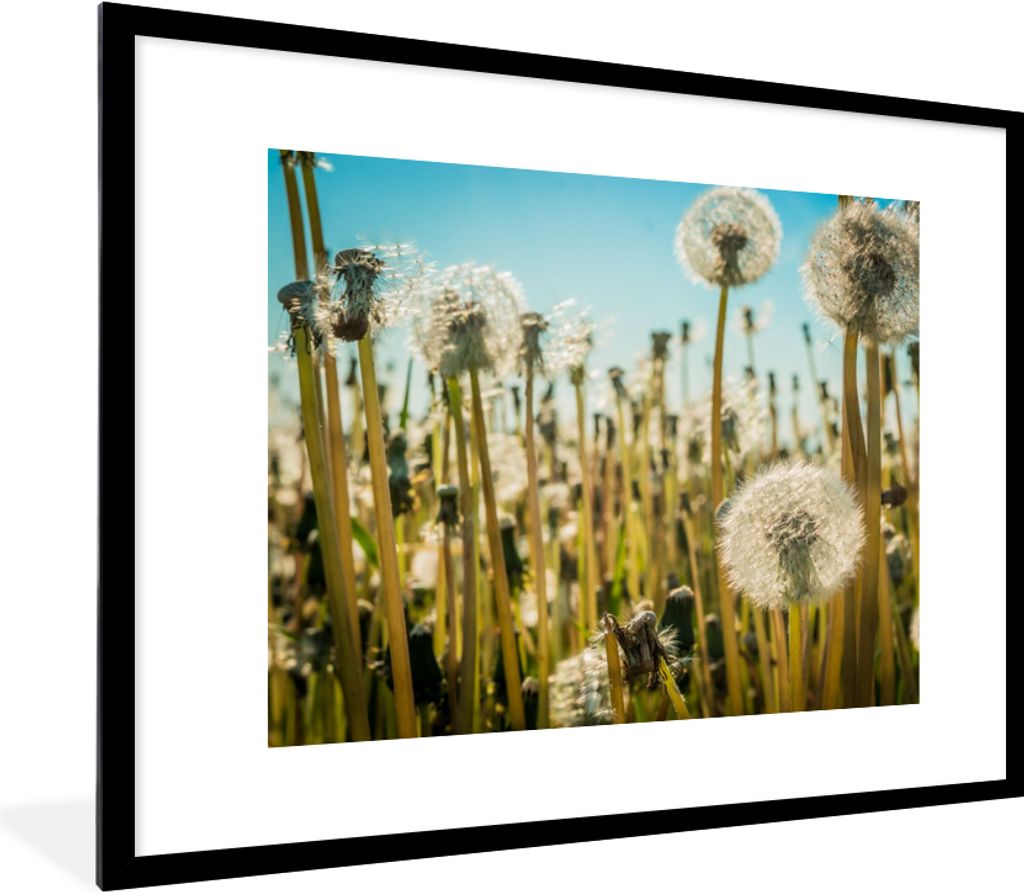 MuchoWow Gerahmtes Poster Blumen - Löwenzahn - Gras 80x60 cm - Poster mit Schwarzem Bilderrahmen Wandposter Rahmen Foto Bilder - Schlafzimmer-De...