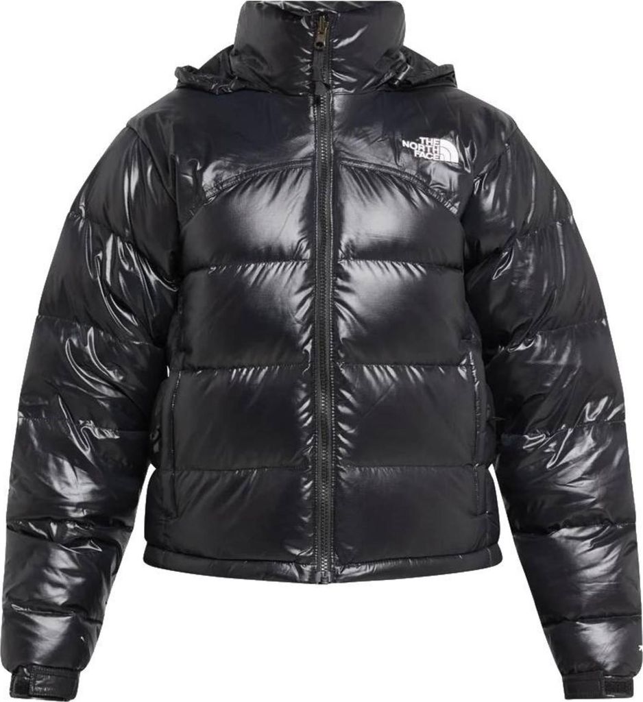 Jacken The North Face Retro Nuptse NF0A831FKX7