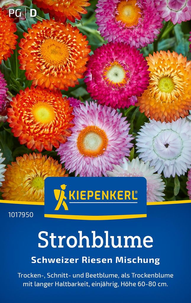 Kiepenkerl Strohblumensamen Schweizer Riesen Xerochrysum Produktbild 