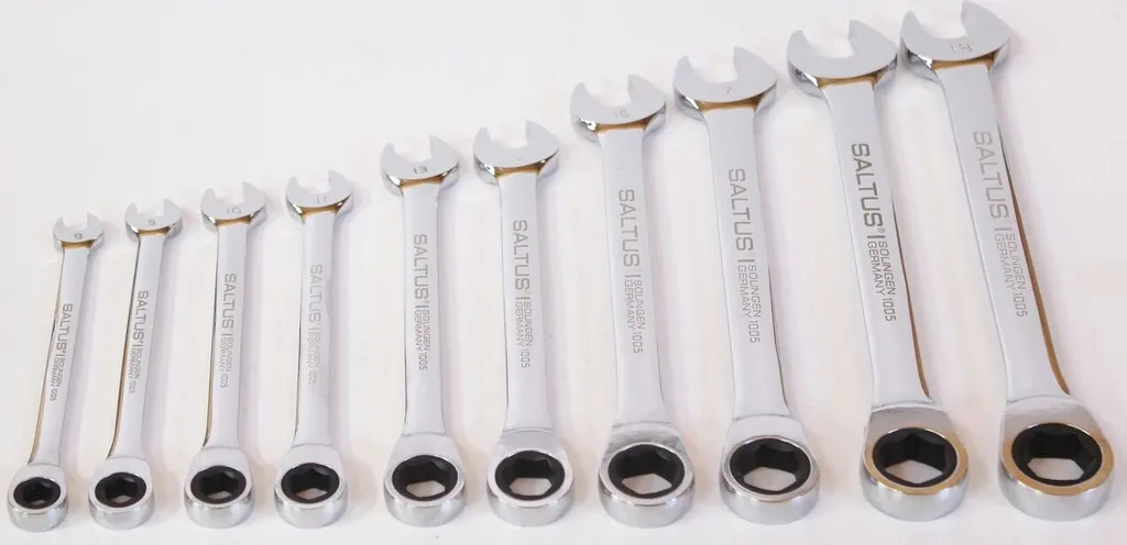 Set Chiavi ad Anello SALTUS 10 pz 8-19 mm: Utensili Professionali CV