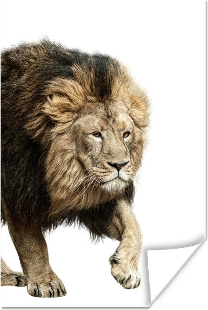 MuchoWow Poster Profil - Löwe - Weiß 40x60 cm - Plakate für die Wand - Poster Babyzimmer