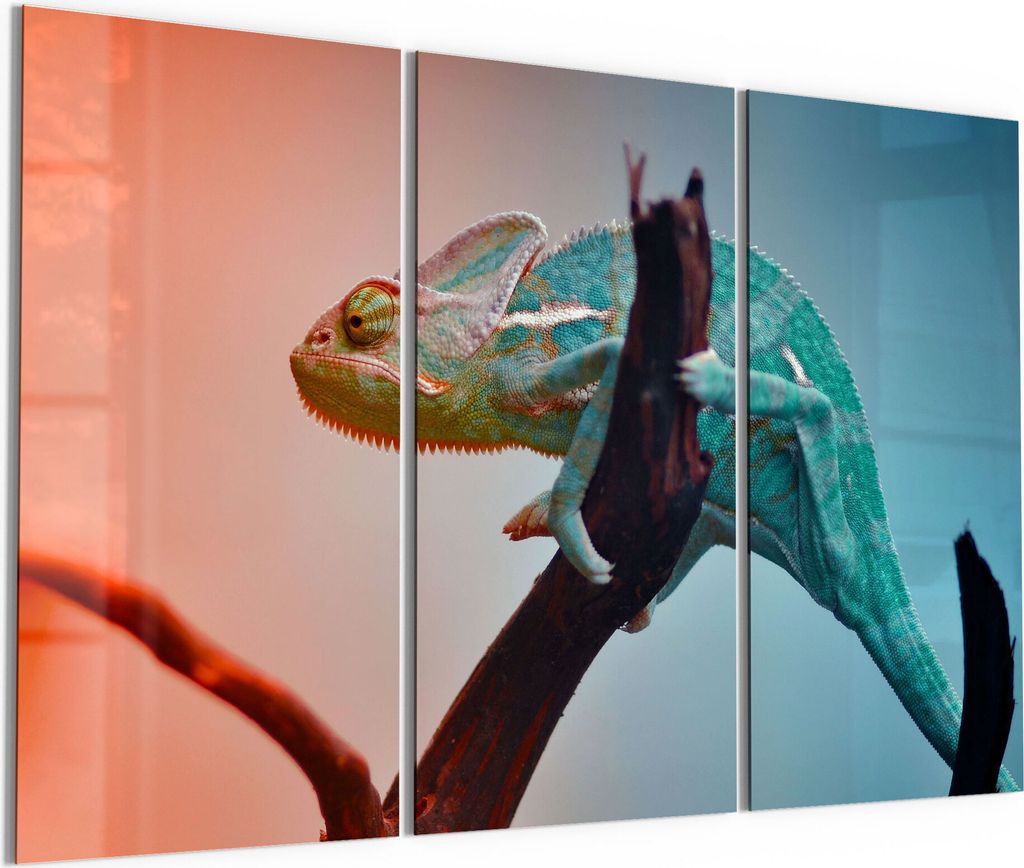 DEQORI Glasbild Echtglas 3x50x100 cm 'Chamäleon auf Ast' Produktbild 