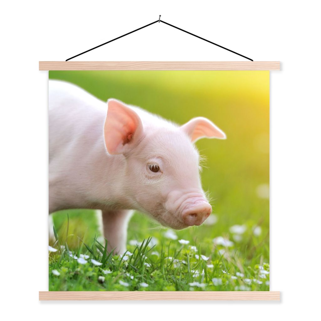 MuchoWow Textilposter Tiere - Ferkel - Schwein 40x40 cm mit holzfarbenen Rahmen - Posterleiste