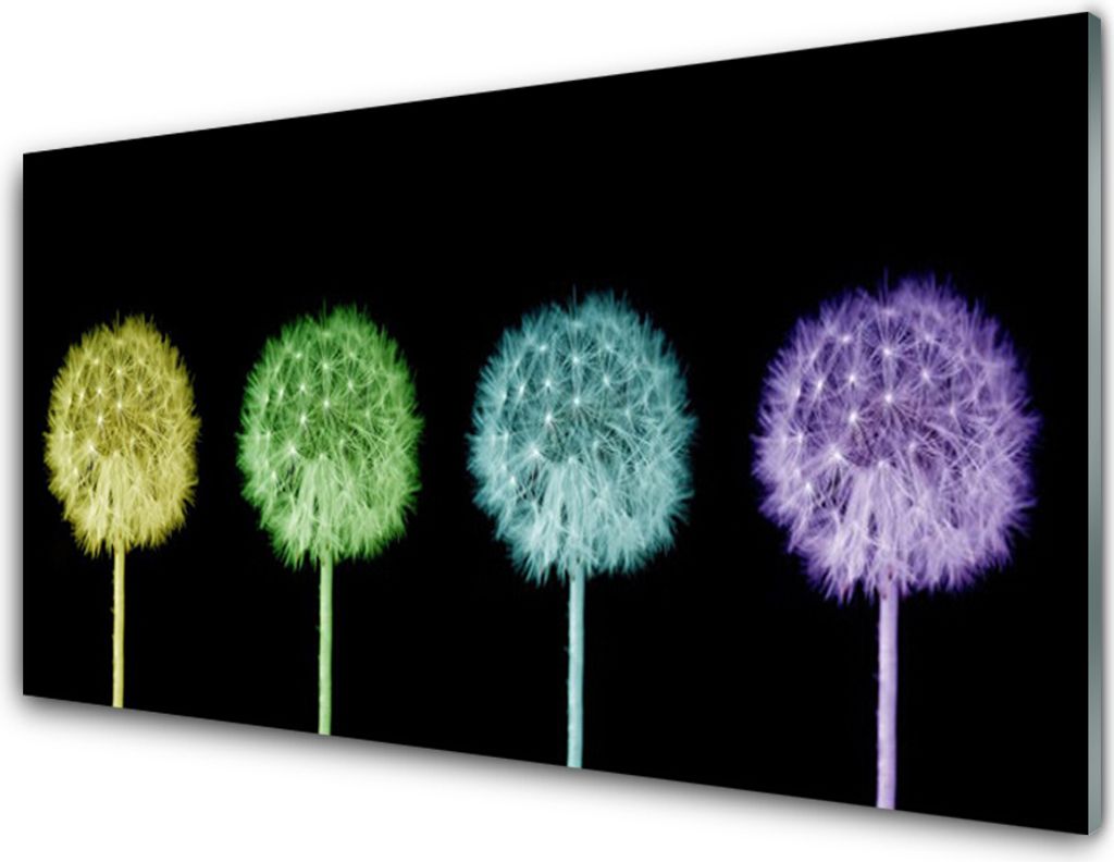 Acrylglasbilder 100x50 Wandbild Druck Pusteblume Pflanzen