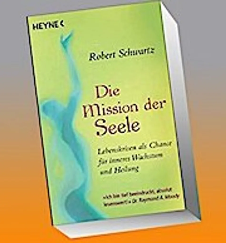 Livre Die Mission der Seele : guide spirituel de développement personnel
