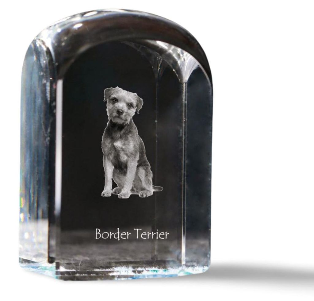 Border Terrier - Kristallwürfel mit Bild, Hundebild im Kristall, sechseckiger Papierclip von Art-Dog.