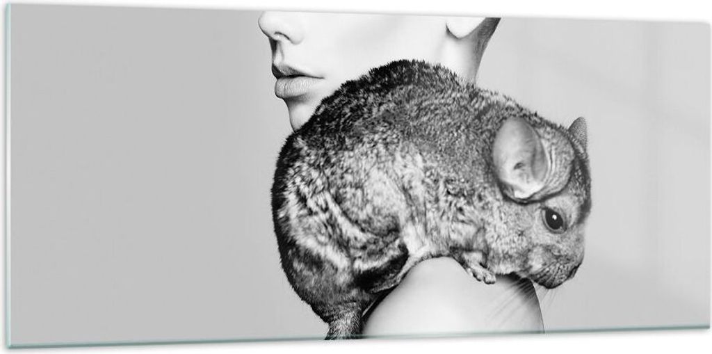Bilder auf glas - Einteilig - Chinchilla Frau Porträt - 120x50cm - Glasbilder - Wandbilder - Bilder - zum Aufhängen bereit - Wanddekoration aus G...