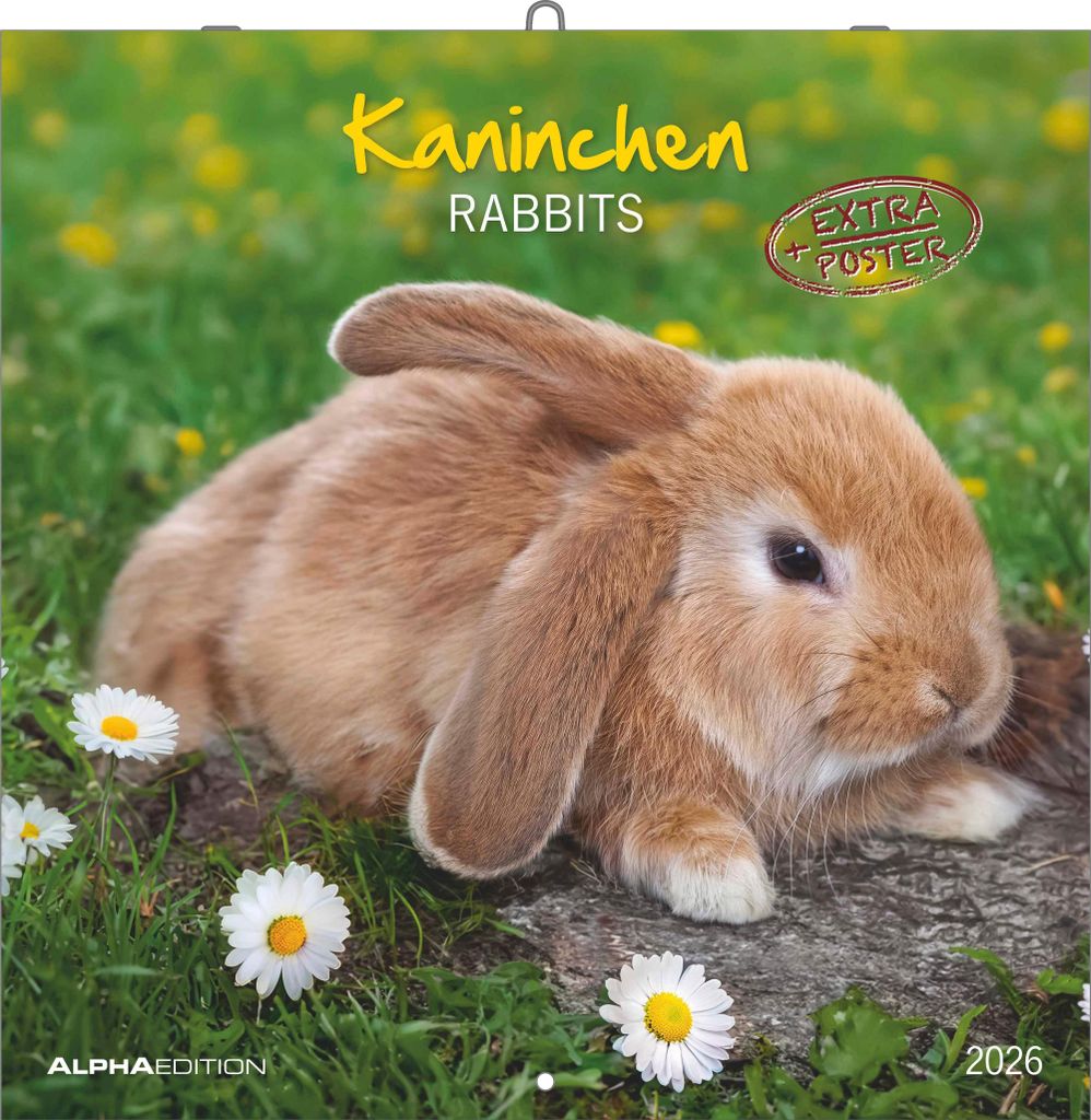 Kaninchen 2026 - Broschürenkal. 30x30 cm (30x60 geöffnet) Produktbild 