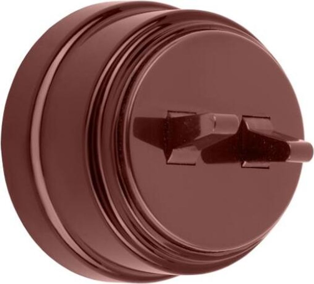 Aufputz Serienschalter mit Wippe Lichtschalter Schalter 10 A Braun serie Retro