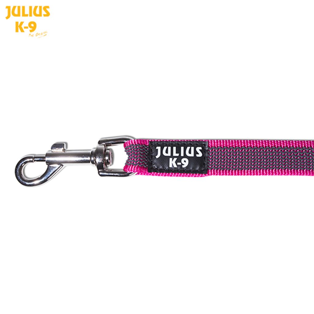 IDC Color & Gray Leine, 20 mm x 3 m, ohne Schlaufe, Pink-Grau