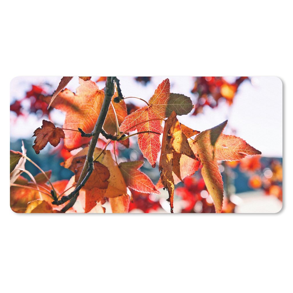 MuchoWow Schreibtischunterlage Ahorn - Blätter - Rustikal - Herbst 80x40 cm - XXL Mauspad - Gaming Mauspad