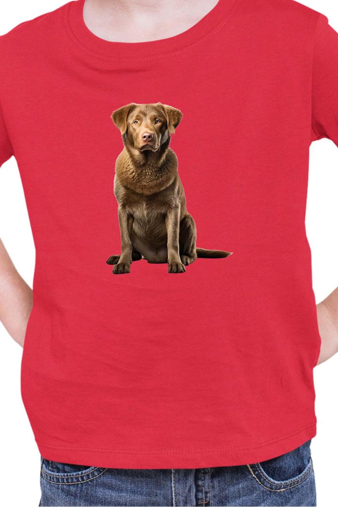 Kinder T-Shirt Dogs Breeds Chesapeake Bay Retriever Dog Breed 007, 9-11 Jahr - 140 / Rot