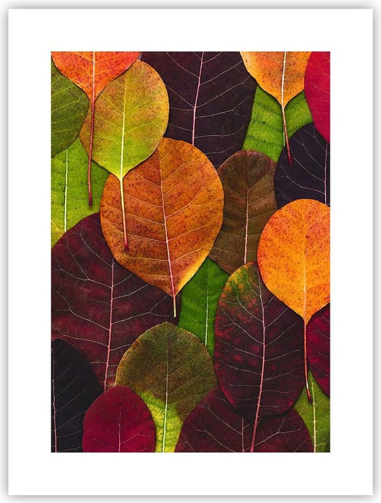 Poster - Poster ohne Rahmen - Herbst Blätter Grafiken - 30x40 cm - Wand Bild - Wanddeko - Wandbilder - Kunstposter - Wandposter - Bilder - Kunstdr...
