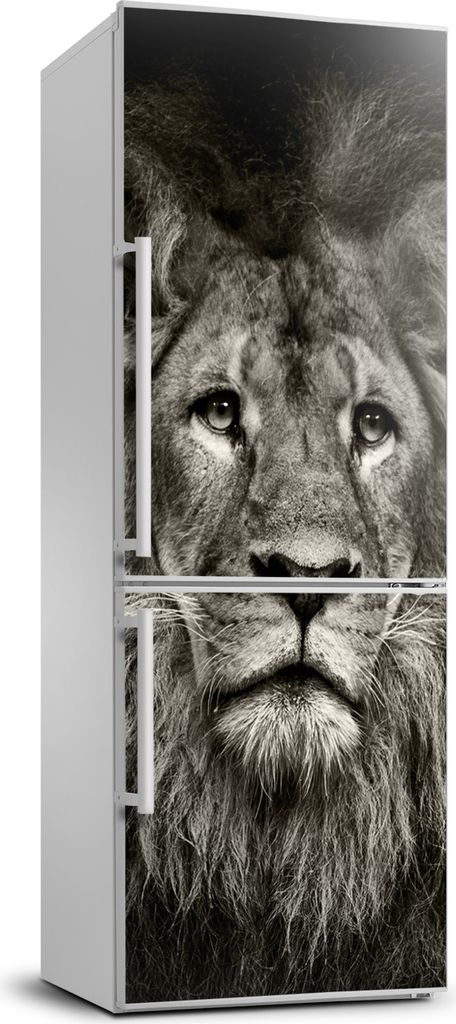 Tulup Kühlschrankdekoration - 70x190 cm - Aufkleber auf dem Kühlschrank - Löwe