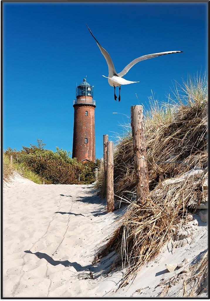 Wallario Wandbild Möwe am Strand mit Leuchtturm, Größe: 70,30 x 100,30 cm, Poster mit schwarzem Aluminiumrahmen