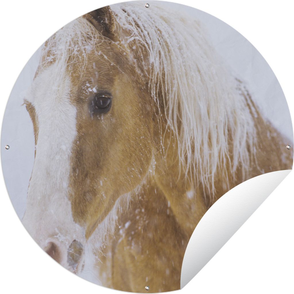 MuchoWow Gartenposter Outdoor-Poster Rund Pferd - Schnee - Winter Ø 120 cm Gartendeko Rundes Poster draußen