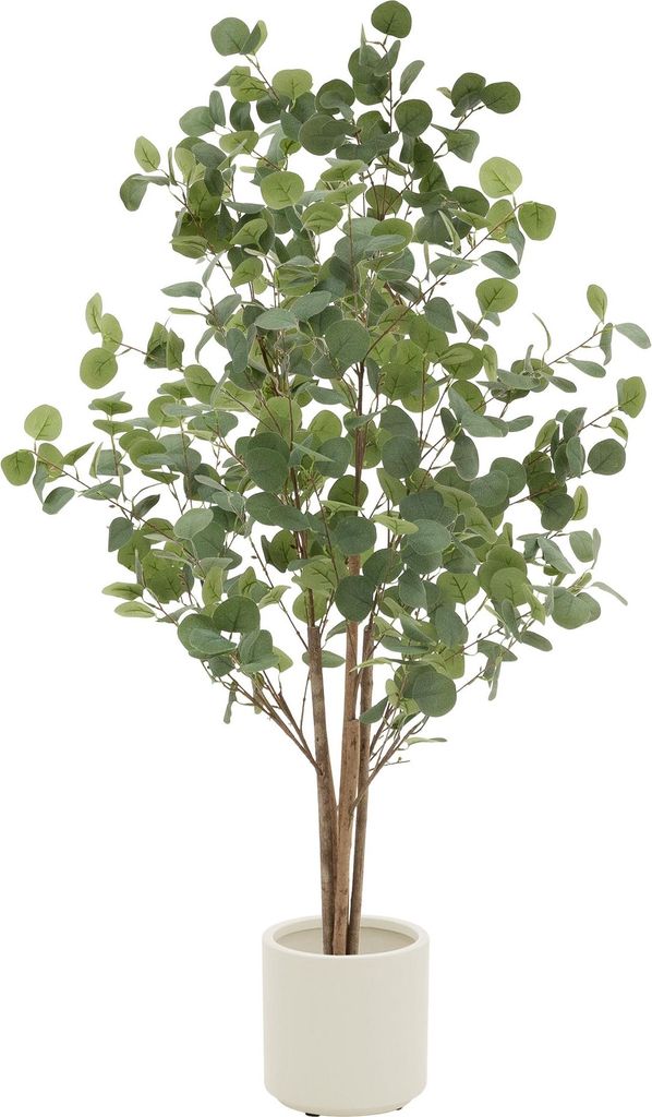 ML-Design Künstliche Eukalyptus 150 cm, Kunstpflanze mit Produktbild 