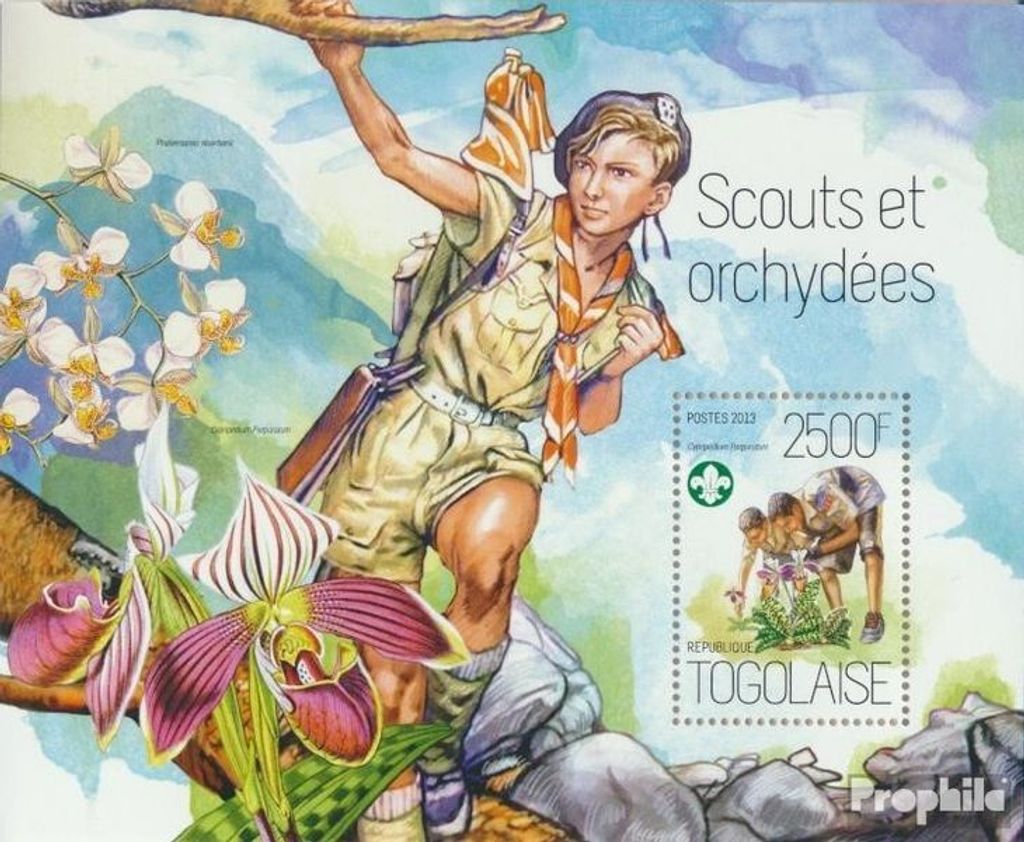 Briefmarken Togo 2013 Mi Block 919 (kompl. Ausgabe) postfrisch Pfadfinder und Orchideen