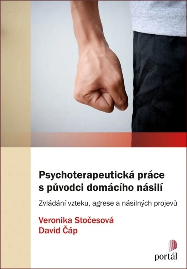 Manuel Psychothérapie Violence Domestique par Stočesová et Čáp, 240p