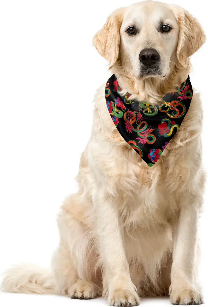Bandana Cane ABAKUHAUS 40x40 Grigio Antracite - Facile e Resistente